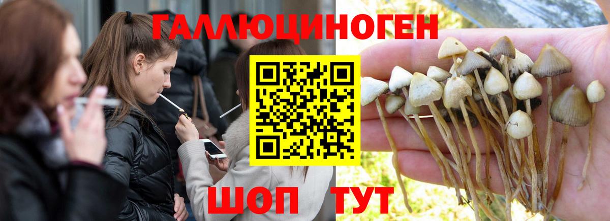 Псилоцибиновые грибы мухоморы Ржев
