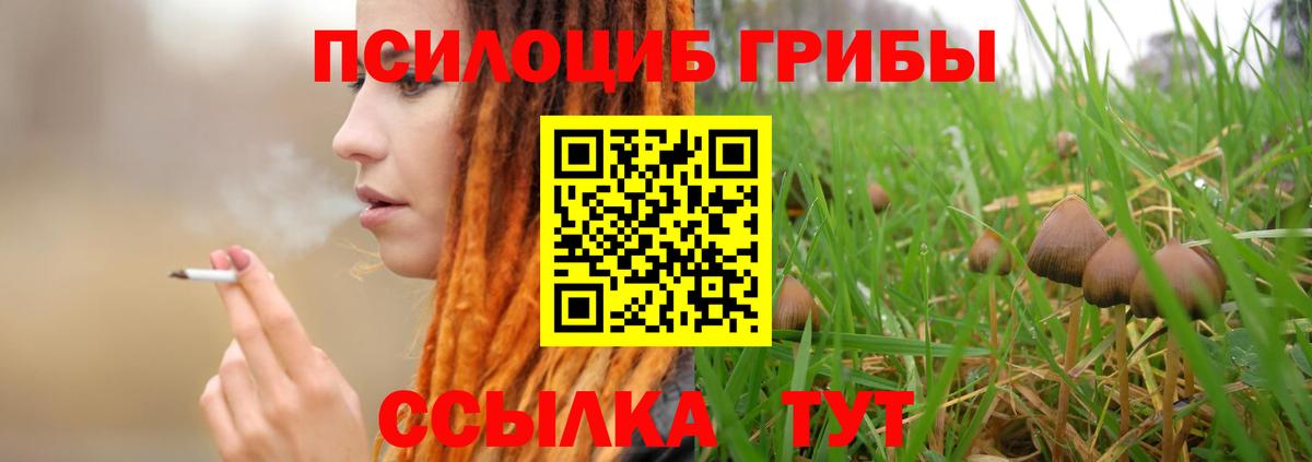 Галлюциногенные грибы Magic Shrooms  Вход с VPN  Ржев  Псилоцибиновые грибы мухоморы 